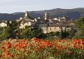 Deluxe Drivers : Tour Provence